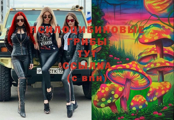 бошки Лагань