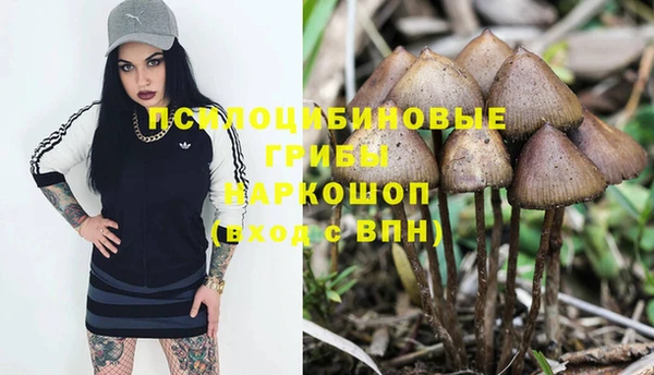 2c-b Ладушкин