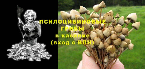 2c-b Ладушкин