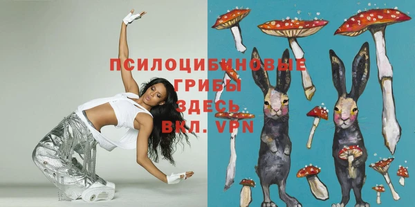 2c-b Ладушкин