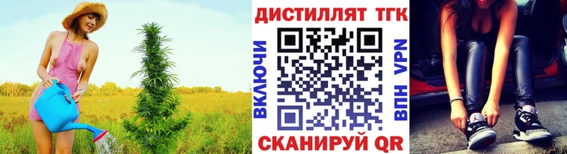 ТГК концентрат  Купить  Исилькуль 