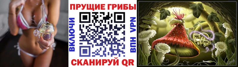 Галлюциногенные грибы мухоморы  Купить  Исилькуль 
